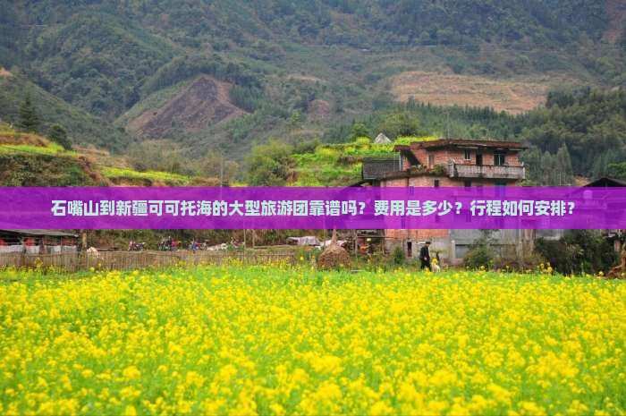 石嘴山到新疆可可托海的大型旅游团靠谱吗？费用是多少？行程如何安排？