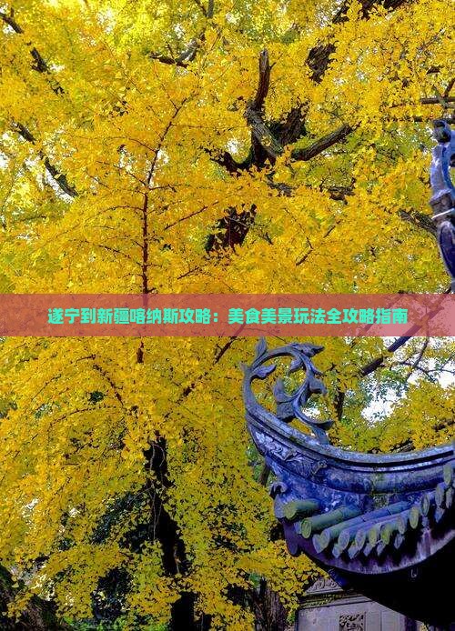 遂宁到新疆喀纳斯攻略：美食美景玩法全攻略指南