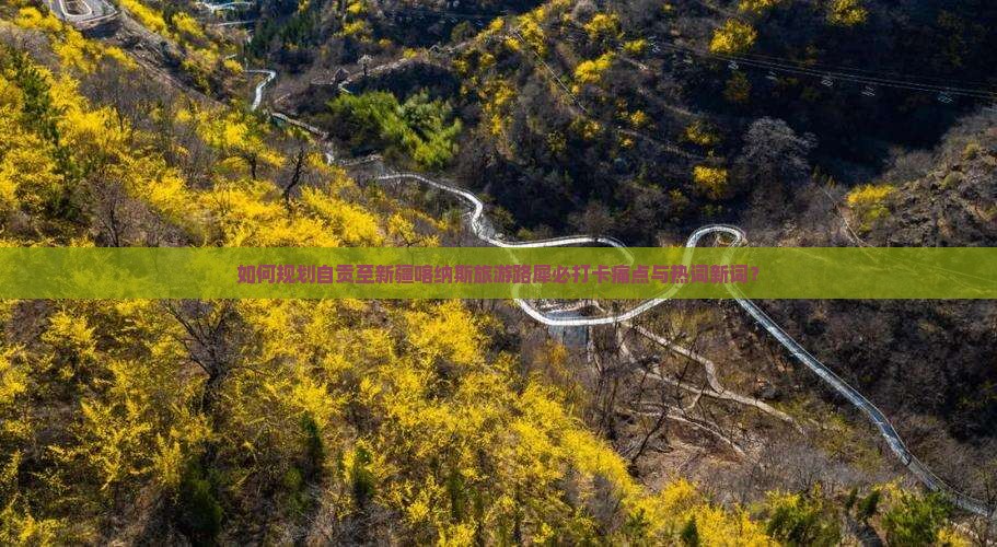 如何规划自贡至新疆喀纳斯旅游路犀必打卡痛点与热词新词？