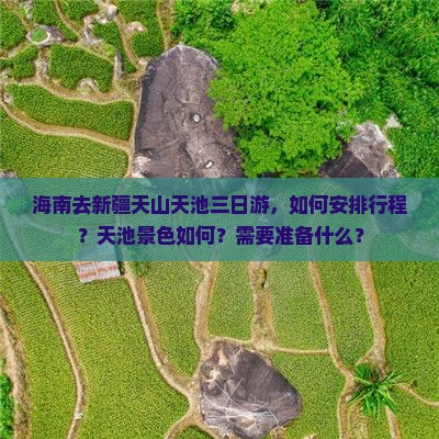 海南去新疆天山天池三日游，如何安排行程？天池景色如何？需要准备什么？