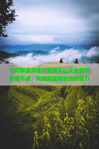 为何那曲游客对新疆天山天池旅游热度不减，究竟隐藏哪些独特魅力吸引着他们？