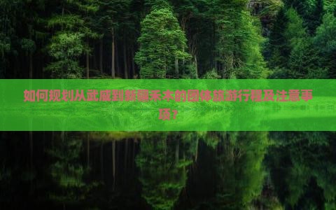 如何规划从武威到新疆禾木的团体旅游行程及注意事项？