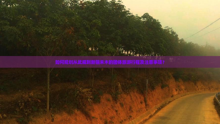 如何规划从武威到新疆禾木的团体旅游行程及注意事项？