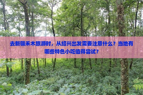 去新疆禾木旅游时，从绍兴出发需要注意什么？当地有哪些特色小吃值得尝试？