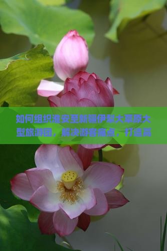 如何组织淮安至新疆伊犁大草原大型旅游团，解决游客痛点，打造高品质旅程？
