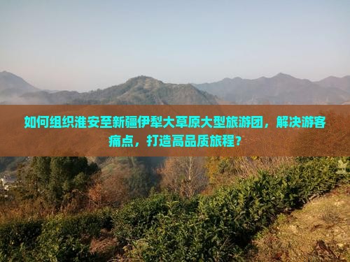 如何组织淮安至新疆伊犁大草原大型旅游团，解决游客痛点，打造高品质旅程？