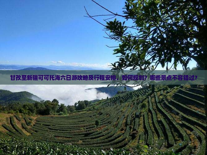 甘孜至新疆可可托海六日游攻略及行程安排，如何规划？哪些景点不容错过？