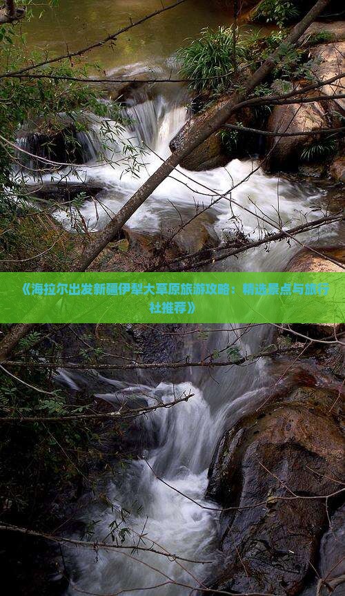《海拉尔出发新疆伊犁大草原旅游攻略：精选景点与旅行社推荐》