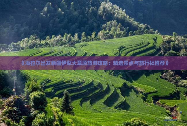 《海拉尔出发新疆伊犁大草原旅游攻略：精选景点与旅行社推荐》