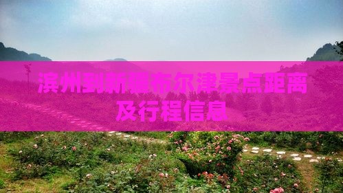 滨州到新疆布尔津景点距离及行程信息