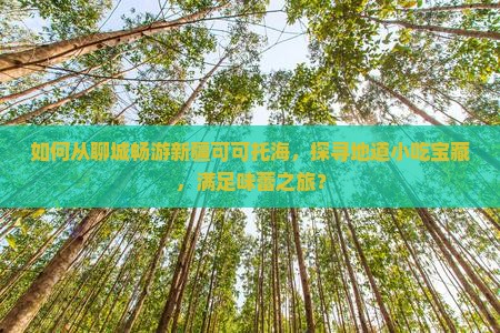 如何从聊城畅游新疆可可托海，探寻地道小吃宝藏，满足味蕾之旅？