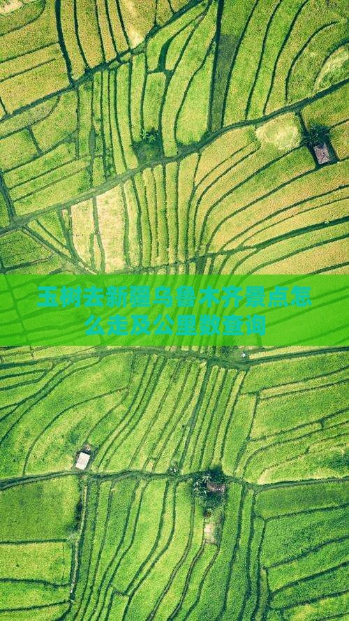 玉树去新疆乌鲁木齐景点怎么走及公里数查询