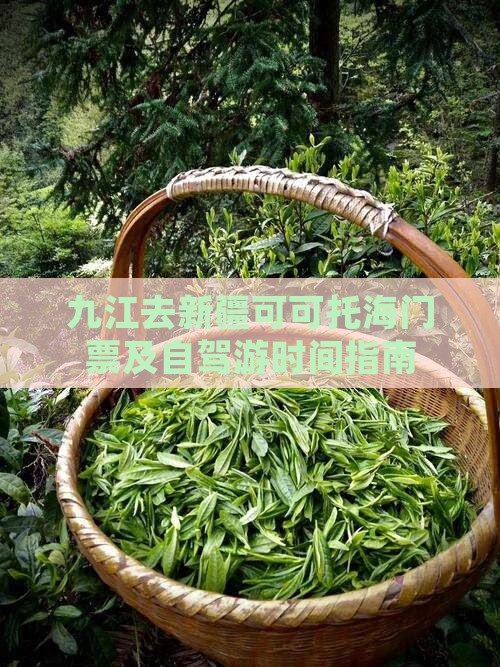 九江去新疆可可托海门票及自驾游时间指南