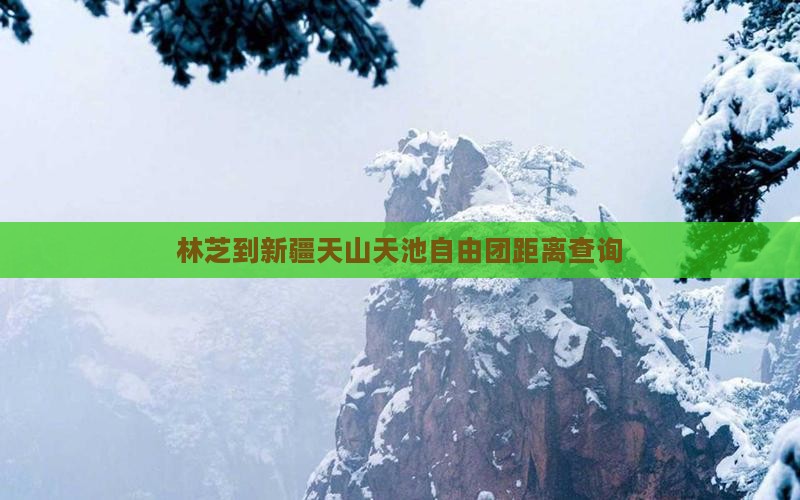 林芝到新疆天山天池自由团距离查询