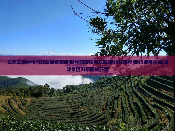 夏天去新疆可可托海团体旅游|新疆旅游景点攻略|旅行社推荐|旅行费用预算|国际景区游玩路线行程