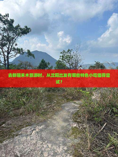 去新疆禾木旅游时，从沈阳出发有哪些特色小吃值得尝试？