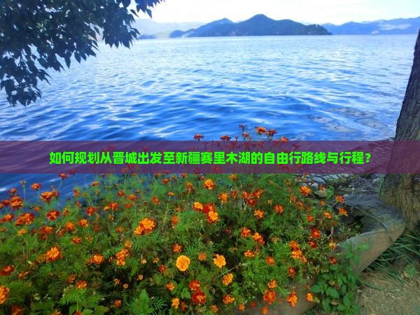 如何规划从晋城出发至新疆赛里木湖的自由行路线与行程？