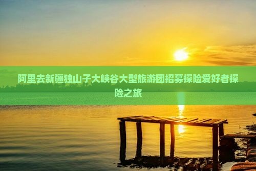 阿里去新疆独山子大峡谷大型旅游团招募探险爱好者探险之旅