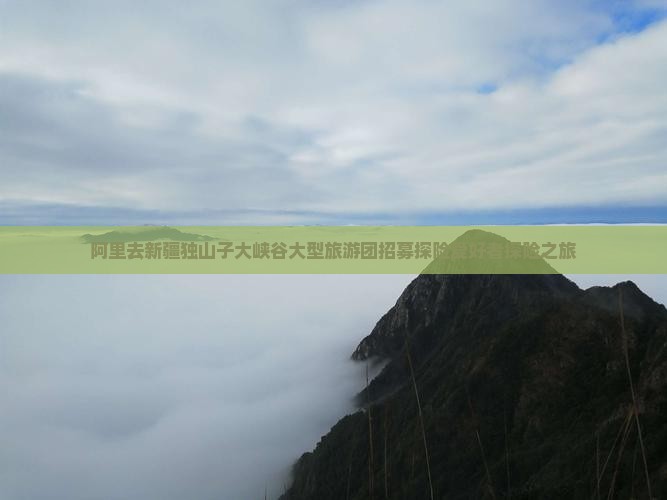阿里去新疆独山子大峡谷大型旅游团招募探险爱好者探险之旅
