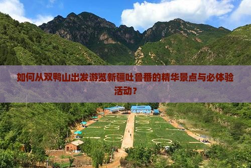 如何从双鸭山出发游览新疆吐鲁番的精华景点与必体验活动？