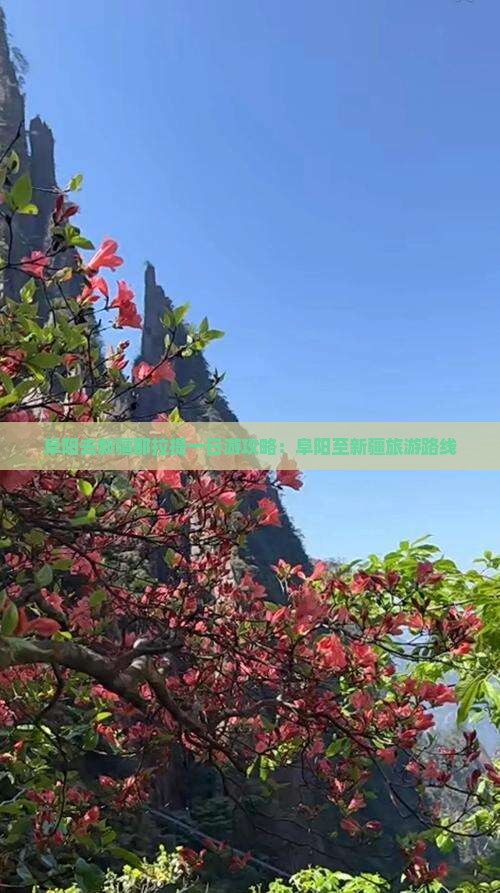 阜阳去新疆那拉提一日游攻略：阜阳至新疆旅游路线