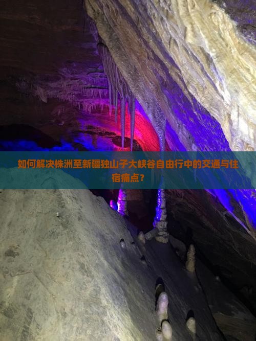 如何解决株洲至新疆独山子大峡谷自由行中的交通与住宿痛点？