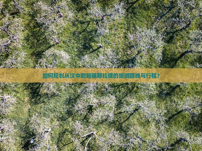 如何规划从汉中到新疆那拉提的旅游路线与行程？