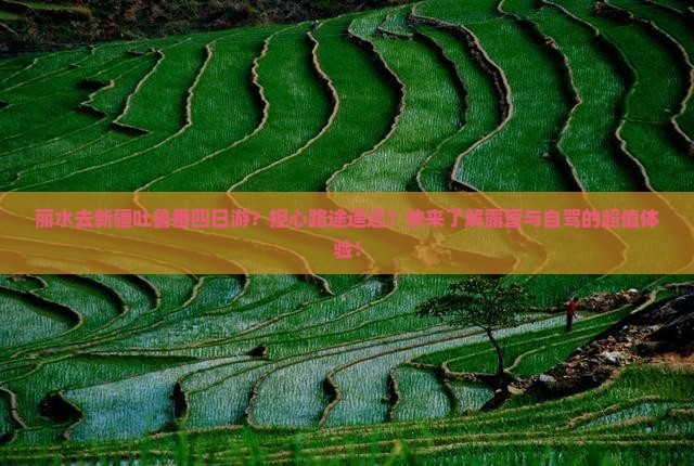 丽水去新疆吐鲁番四日游？担心路途遥远？快来了解露营与自驾的超值体验！