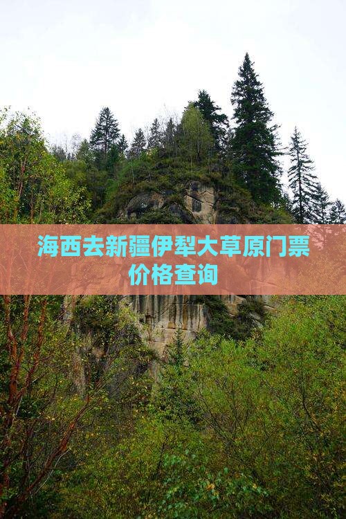 海西去新疆伊犁大草原门票价格查询