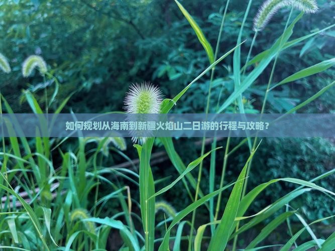 如何规划从海南到新疆火焰山二日游的行程与攻略? 如何规划从海南到新疆火焰山二日游的行程与攻略?