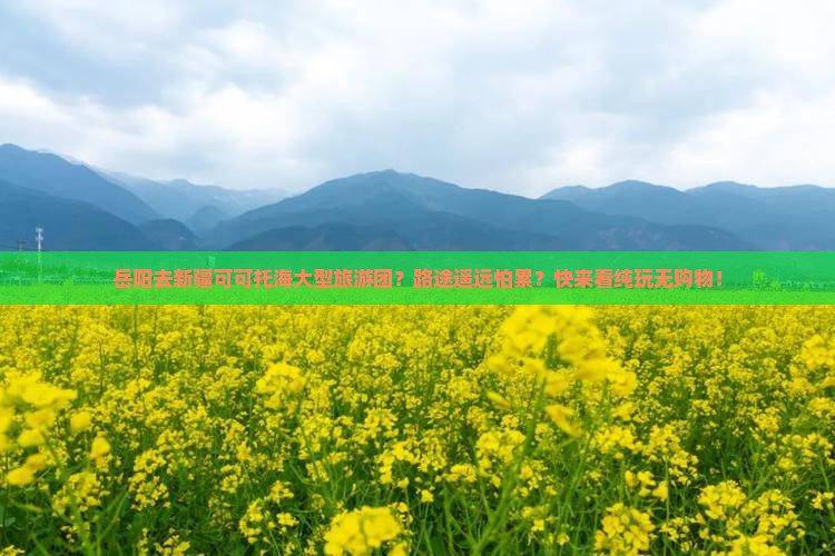 岳阳去新疆可可托海大型旅游团？路途遥远怕累？快来看纯玩无购物！