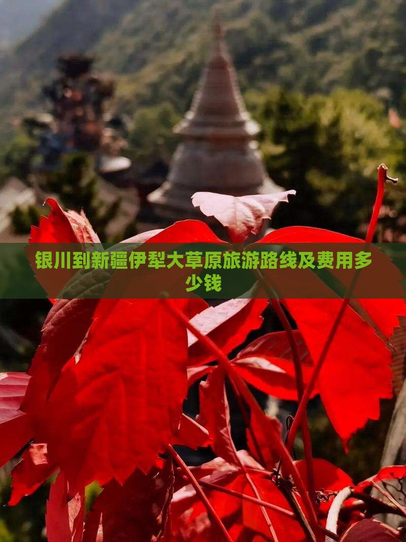 银川到新疆伊犁大草原旅游路线及费用多少钱