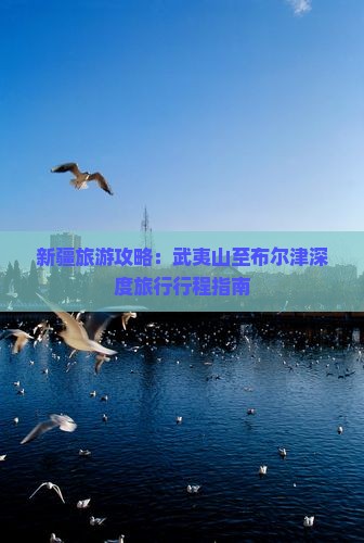 新疆旅游攻略：武夷山至布尔津深度旅行行程指南