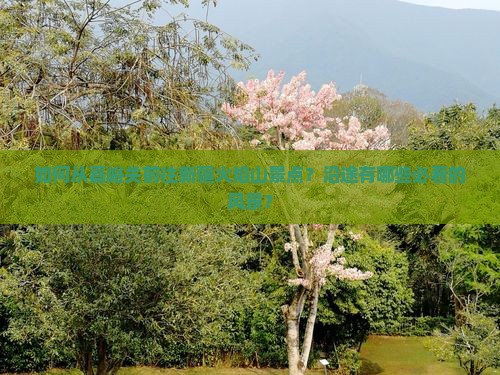 如何从嘉峪关前往新疆火焰山景点？沿途有哪些必看的风景？