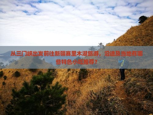 从三门峡出发前往新疆赛里木湖旅游，沿途及当地有哪些特色小吃推荐？