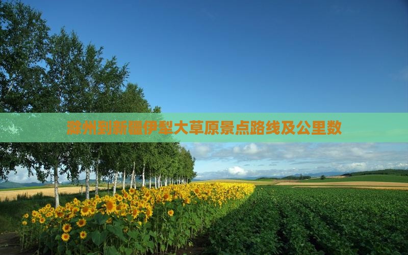 滁州到新疆伊犁大草原景点路线及公里数