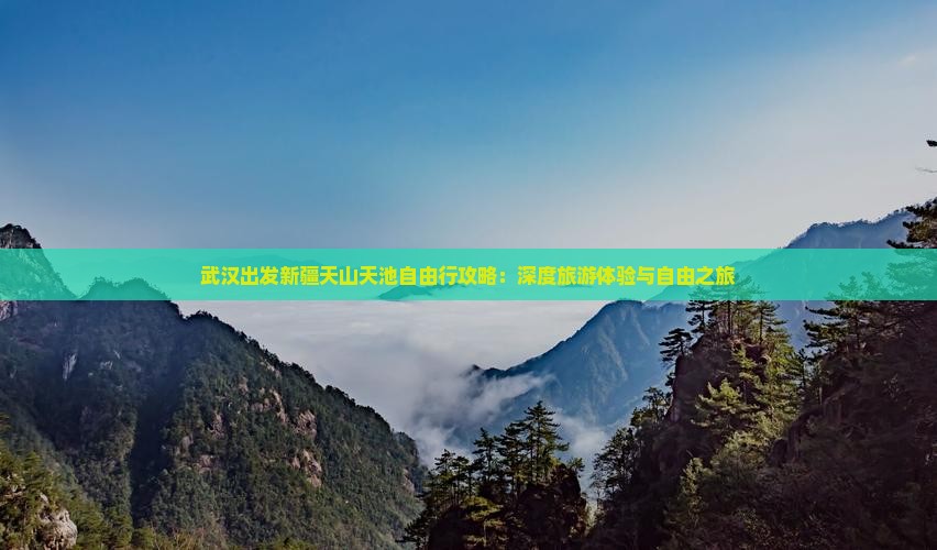 武汉出发新疆天山天池自由行攻略：深度旅游体验与自由之旅