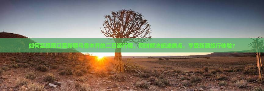 如何实现周口至新疆乌鲁木齐的二日游行程，同时解决旅途痛点，享受新潮旅行体验？