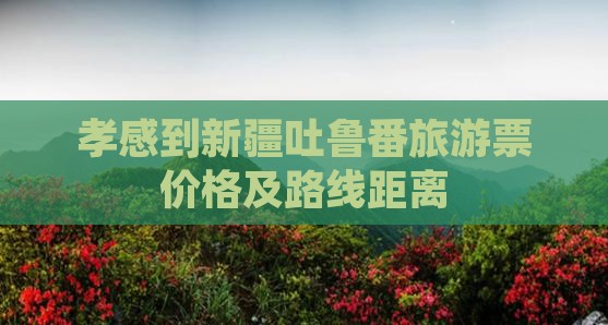 孝感到新疆吐鲁番旅游票价格及路线距离