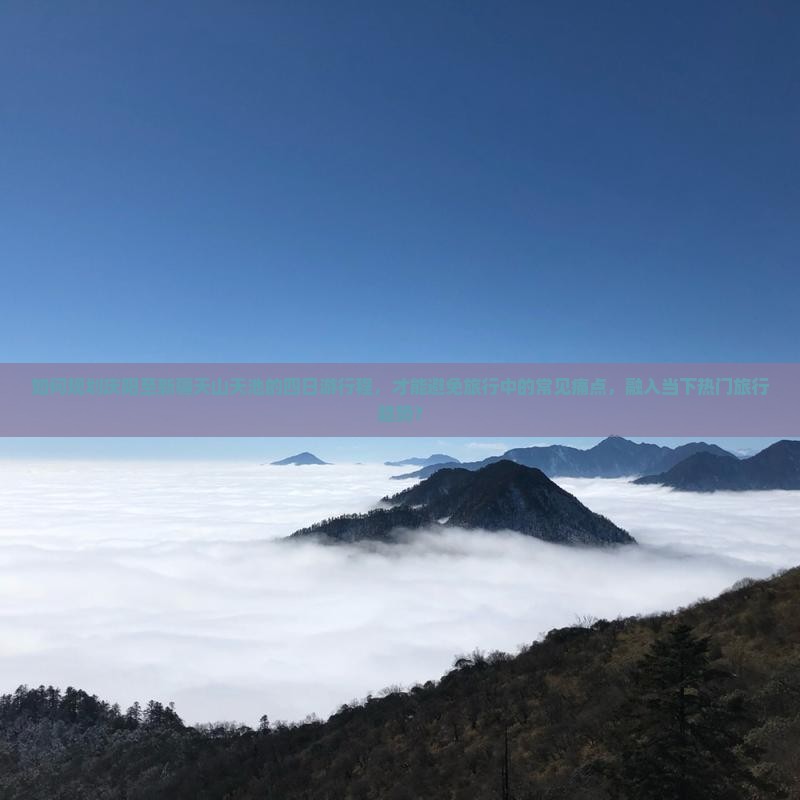 如何规划庆阳至新疆天山天池的四日游行程，才能避免旅行中的常见痛点，融入当下热门旅行趋势？