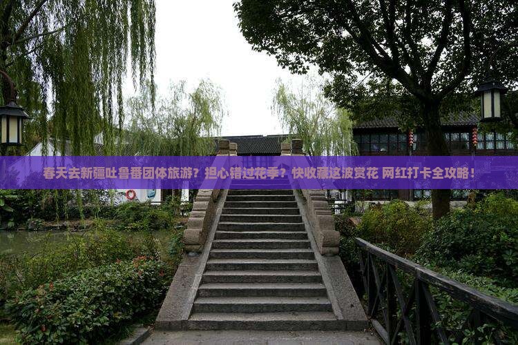 春天去新疆吐鲁番团体旅游？担心错过花季？快收藏这波赏花+网红打卡全攻略！