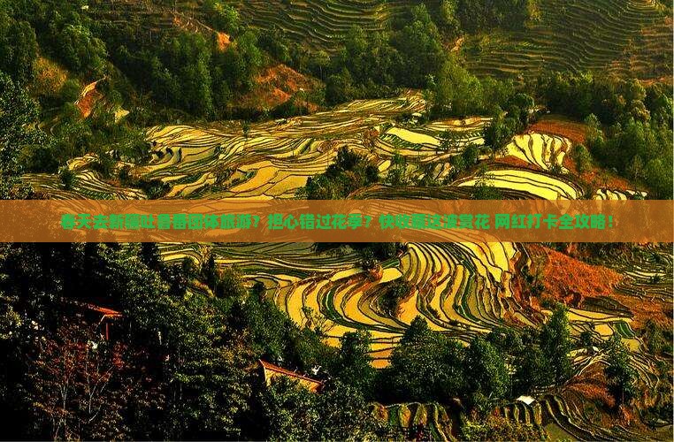 春天去新疆吐鲁番团体旅游？担心错过花季？快收藏这波赏花+网红打卡全攻略！