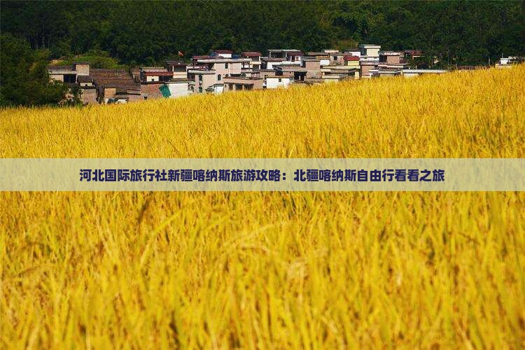 河北国际旅行社新疆喀纳斯旅游攻略：北疆喀纳斯自由行看看之旅