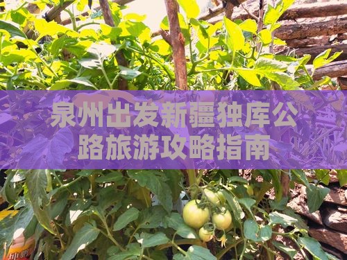 泉州出发新疆独库公路旅游攻略指南