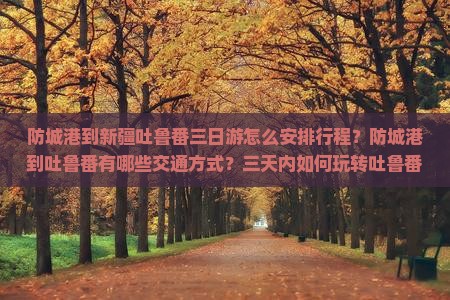 防城港到新疆吐鲁番三日游怎么安排行程？防城港到吐鲁番有哪些交通方式？三天内如何玩转吐鲁番的主要景点？