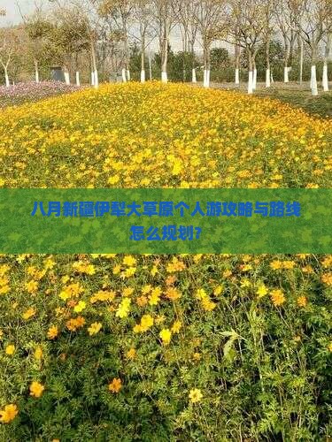 八月新疆伊犁大草原个人游攻略与路线怎么规划？