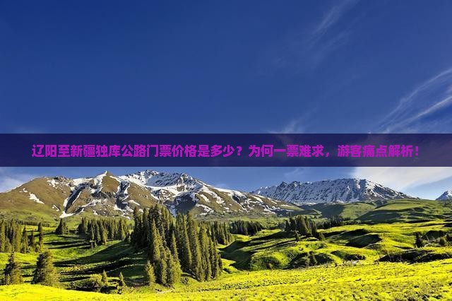 辽阳至新疆独库公路门票价格是多少？为何一票难求，游客痛点解析！