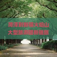 菏泽到新疆火焰山大型旅游团新疆旅游攻略景点新疆菏泽火焰山旅行行程