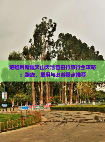 楚雄到新疆天山天池自由行旅行全攻略：路线、费用与必游景点推荐