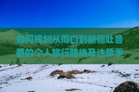 如何规划从周口到新疆吐鲁番的个人旅行路线及注意事项？